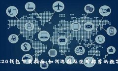 USDT ERC20钱包下载指南：如何选择及使用推荐的数